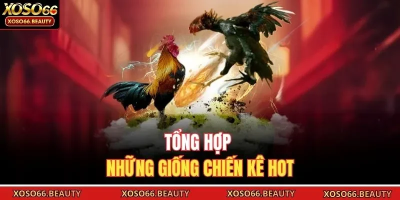 Tổng hợp những giống chiến kê hot