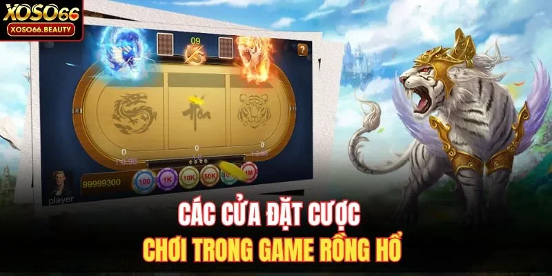 Các cửa đặt cược chơi trong game Rồng Hổ 