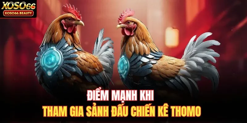 Điểm mạnh khi tham gia sảnh đấu chiến kê Thomo