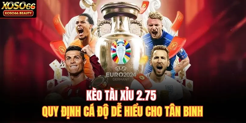 Kèo Tài Xỉu 2.75 quy định cá độ dễ hiểu cho tân binh