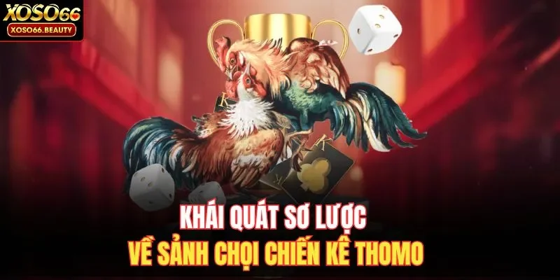 Khái quát sơ lược về sảnh chọi chiến kê Thomo
