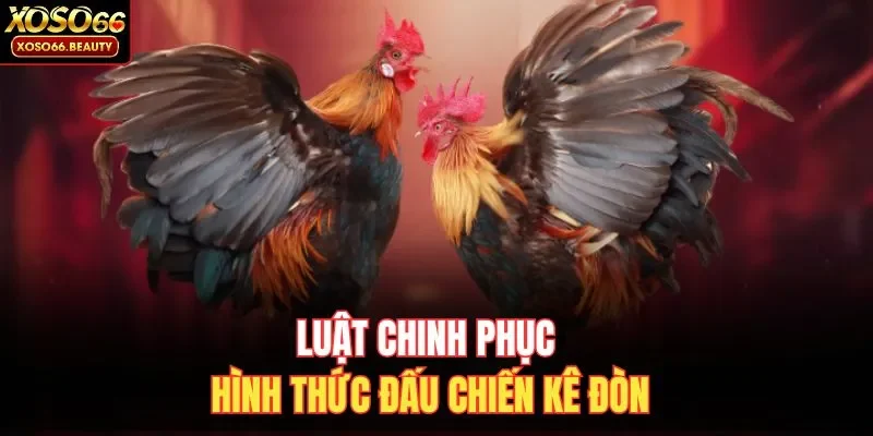 Luật chinh phục hình thức đấu chiến kê đòn