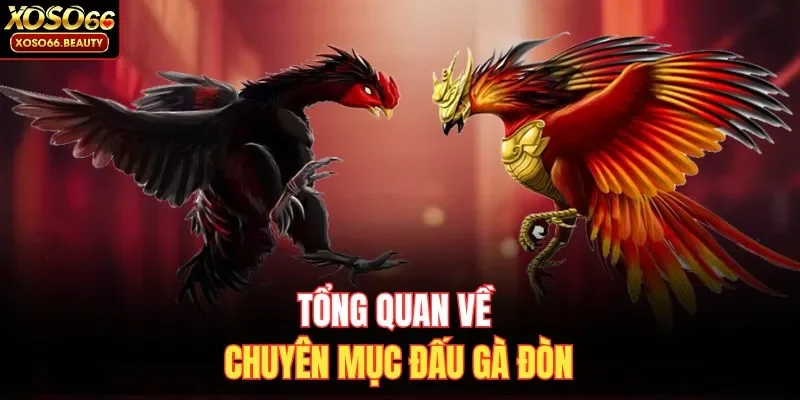 Tổng quan về chuyên mục đấu gà đòn
