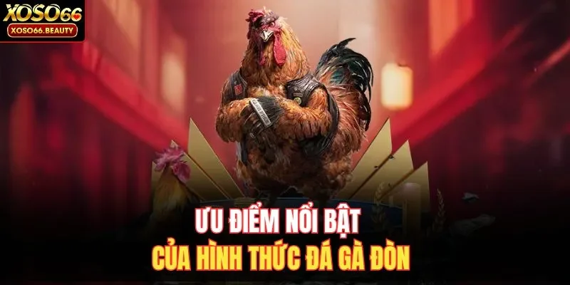 Ưu điểm nổi bật của hình thức đá gà đòn